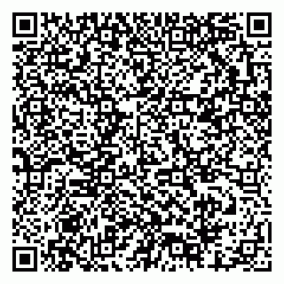 vCard 79378001733