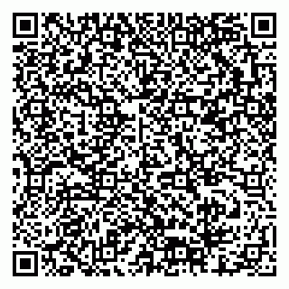 vCard 79378001735