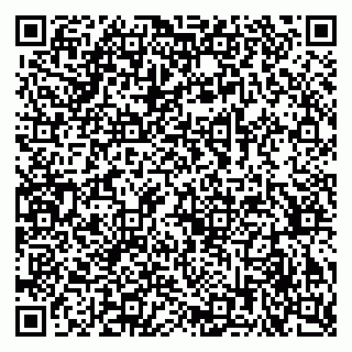 vCard 79378001741