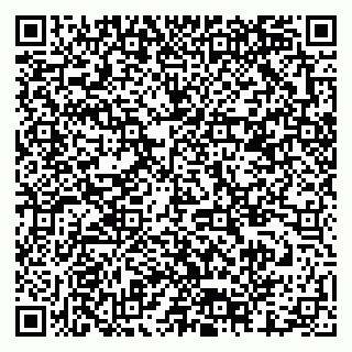 vCard 79378001787