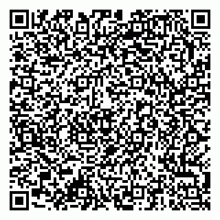 vCard 79378001811