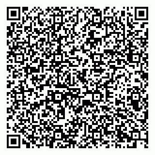 vCard 79378001819