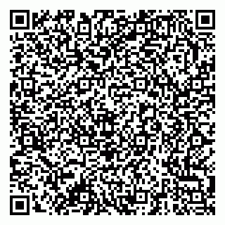 vCard 79378001837