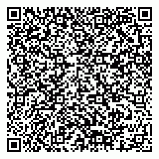 vCard 79378001843