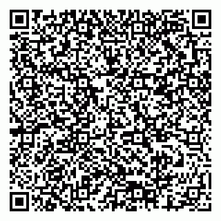 vCard 79378001867