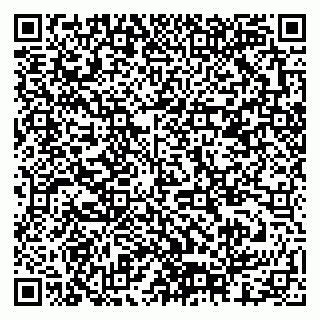 vCard 79378001894