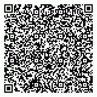 vCard 79378001980