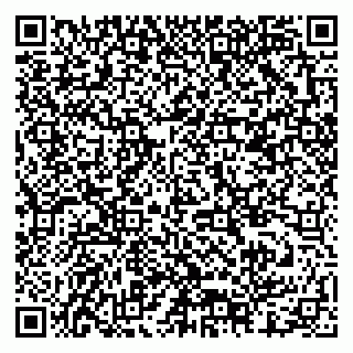 vCard 79378001984