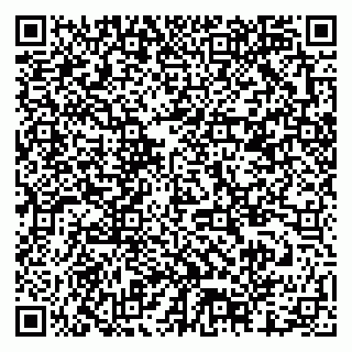 vCard 79378001987