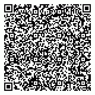 vCard 79378002039