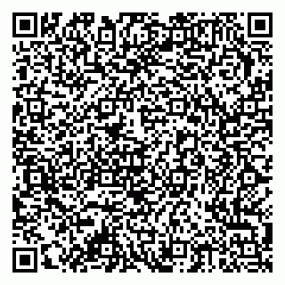vCard 79378002041