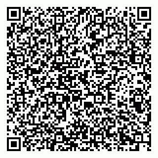 vCard 79378002049