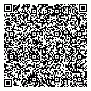 vCard 79378002051