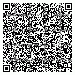 vCard 79378002053