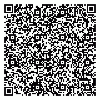 vCard 79378002063