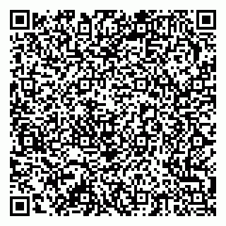 vCard 79378002065
