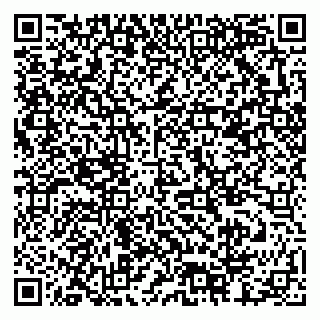 vCard 79378002079
