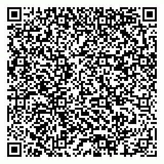 vCard 79378002080