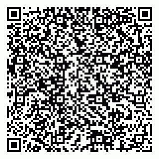 vCard 79378002089