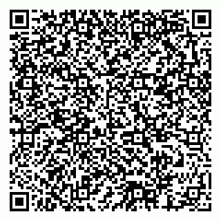 vCard 79378002093