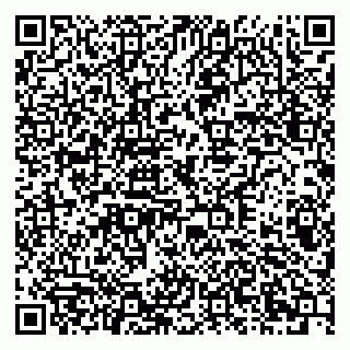 vCard 79378002096