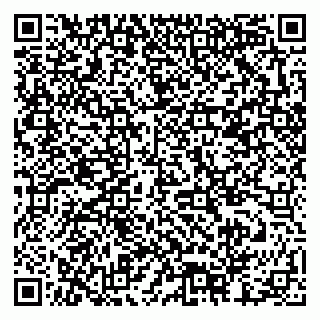 vCard 79378002097