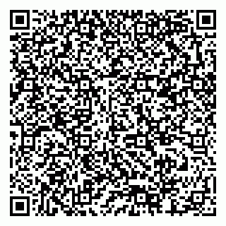vCard 79378002099