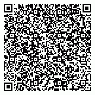 vCard 79378002105