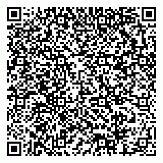 vCard 79378002131