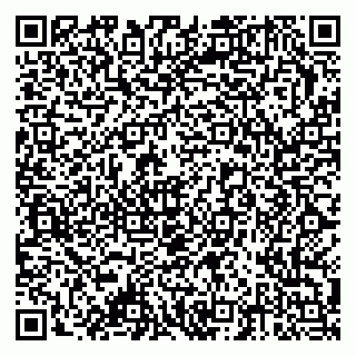vCard 79378002132