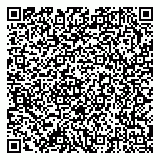 vCard 79378002133