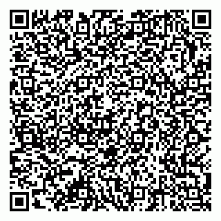 vCard 79378002135