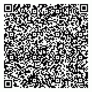 vCard 79378002161
