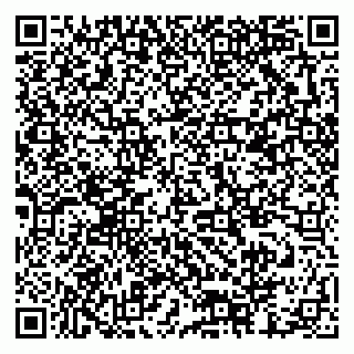 vCard 79378002163