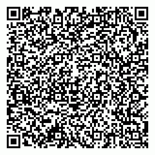 vCard 79378002173