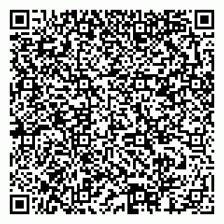 vCard 79378002195
