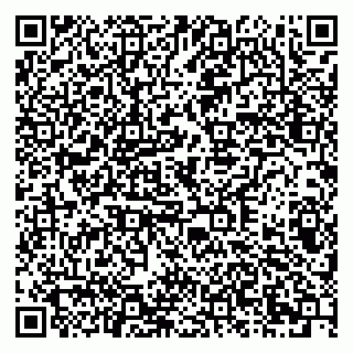 vCard 79378002197