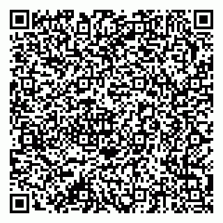 vCard 79378002211