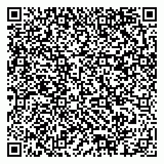 vCard 79378002285