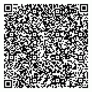 vCard 79378002295