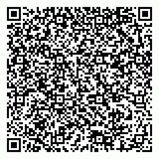 vCard 79378002305