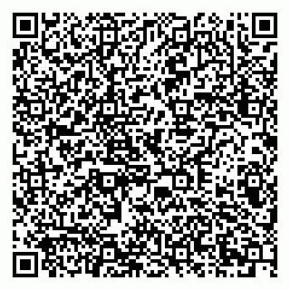 vCard 79378002317
