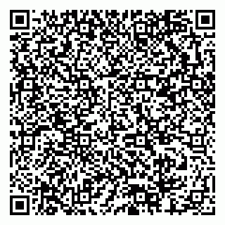 vCard 79378002334