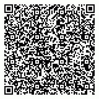 vCard 79378002337