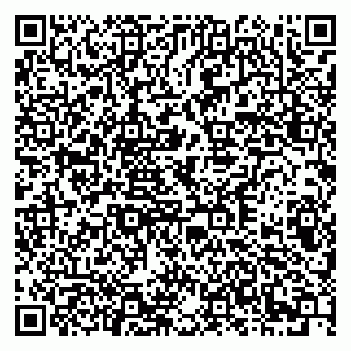 vCard 79378002385