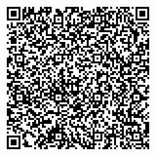 vCard 79378002413