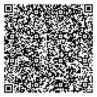 vCard 79378002419