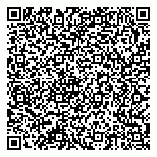 vCard 79378002421