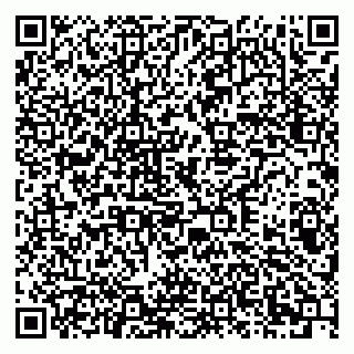 vCard 79378002431
