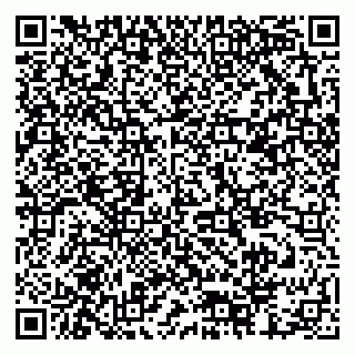vCard 79378002473